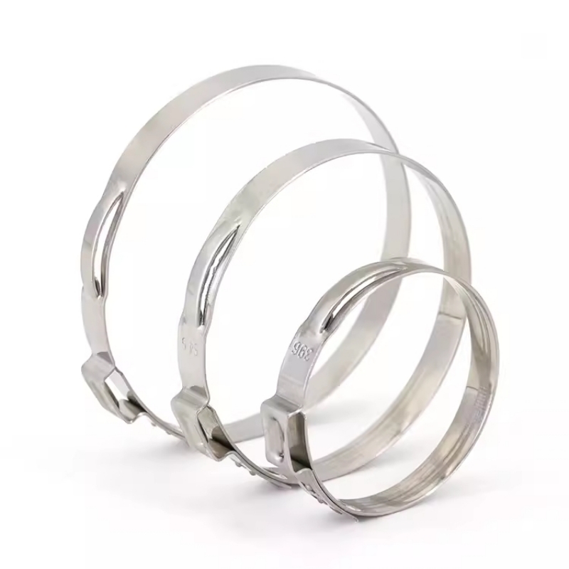 5-20 шт., зажимы для шланга из – обзор и цена Hose Clamp Assorted