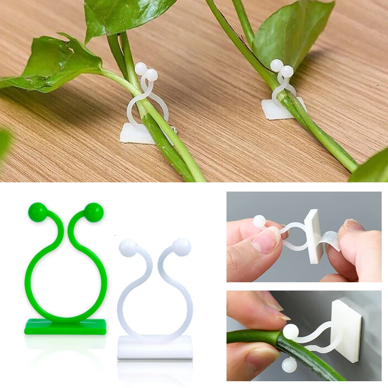 Стенка для скалолазания, самок – обзор и цена Wall Anchor Plastic